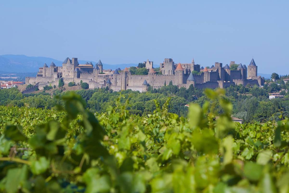 Tout confort ! Calme, Vue Dégagée, Ville ,Parking Gratuit, Ascenseur, Wifi Carcassonne Esterno foto