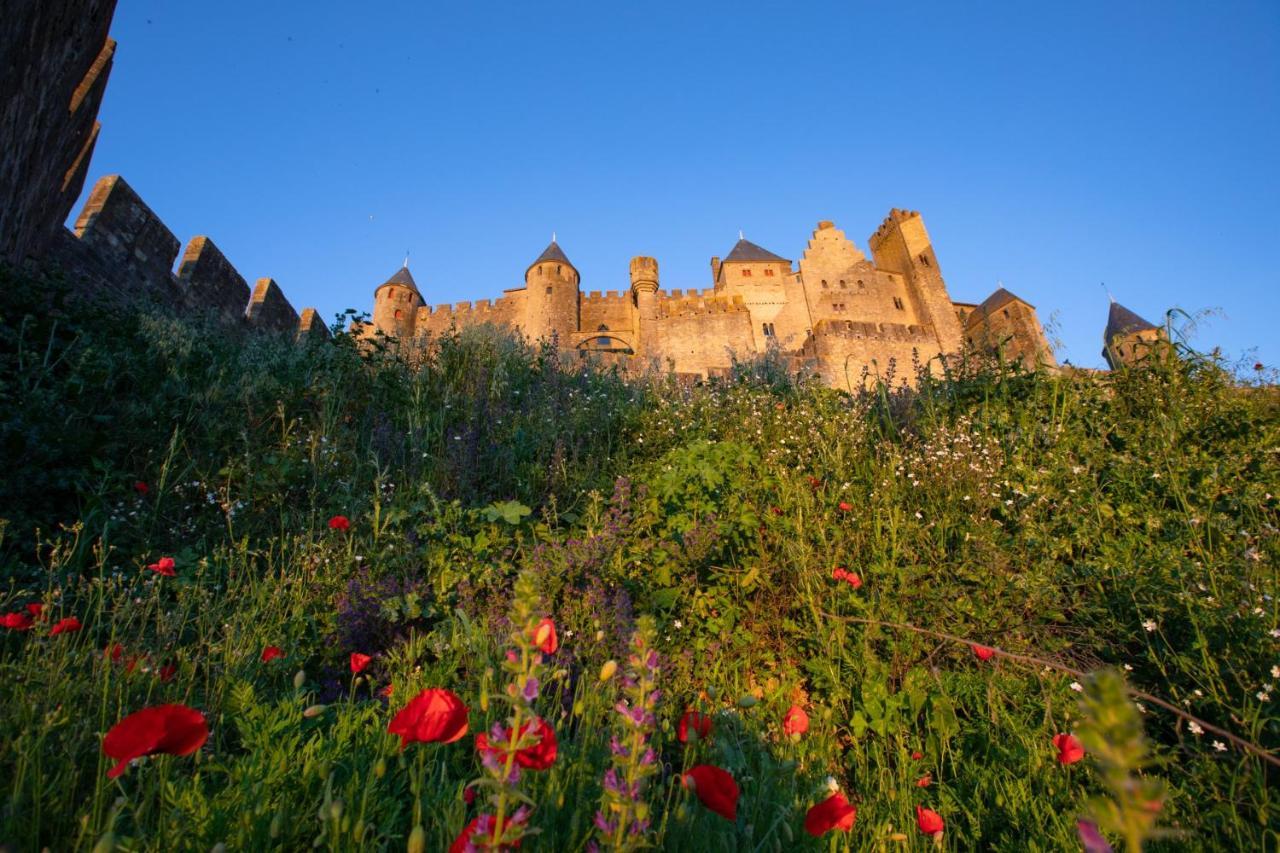 Tout confort ! Calme, Vue Dégagée, Ville ,Parking Gratuit, Ascenseur, Wifi Carcassonne Esterno foto